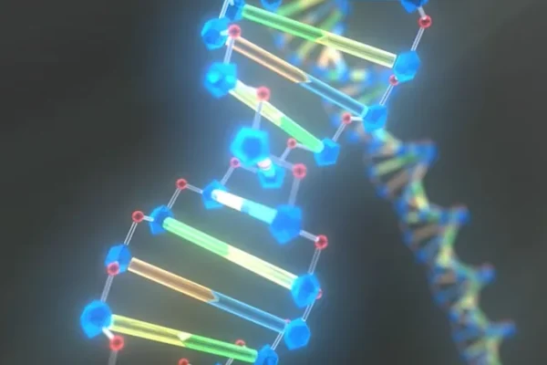 DNA: Blueprint of Life – Genetic Coding, Evolution & Molecular Inheritance Systems