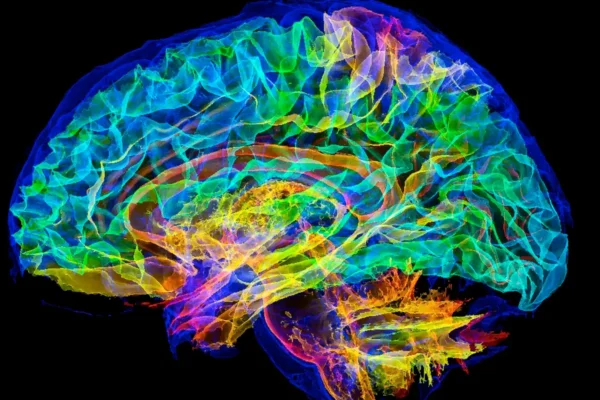 The Human Brain: Neural Supercomputer – Memory Systems, Consciousness & Cognitive Science