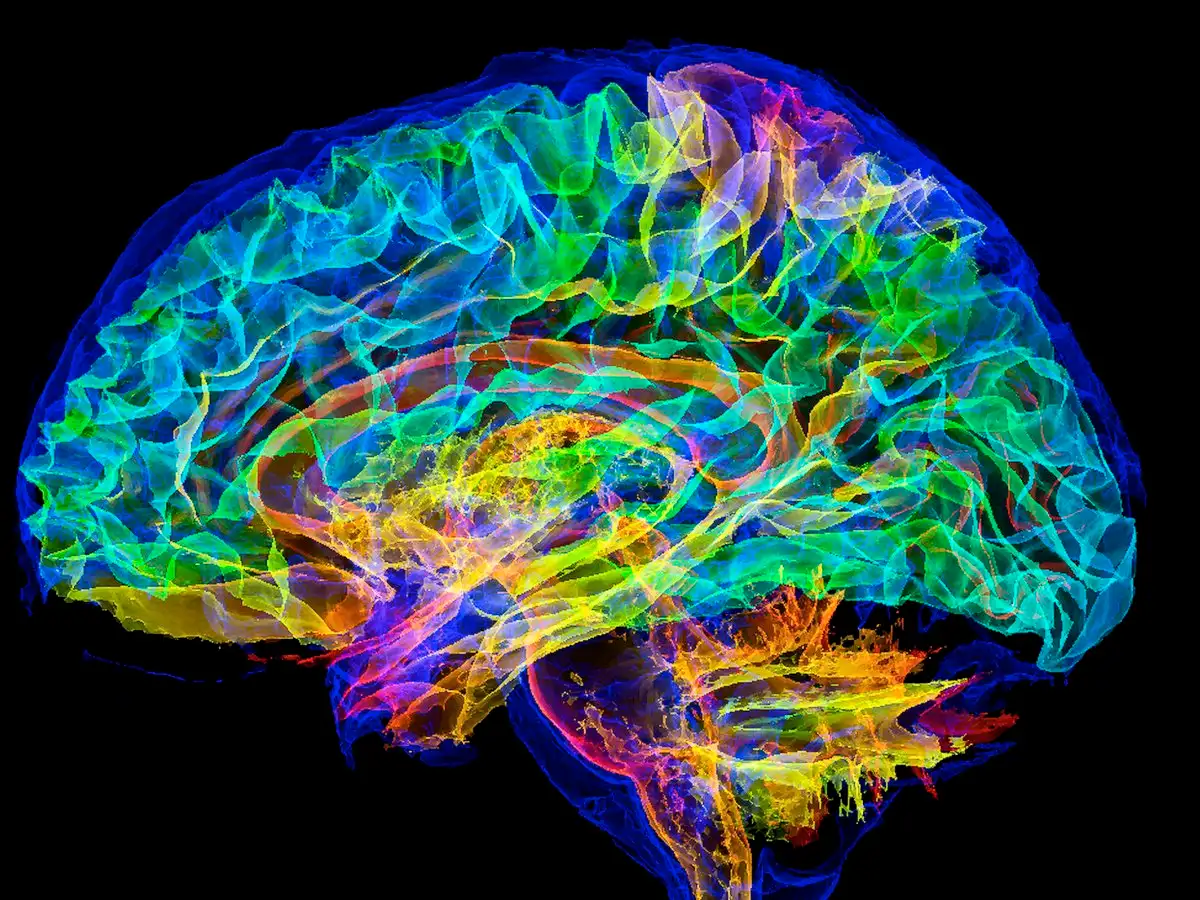 The Human Brain: Neural Supercomputer – Memory Systems, Consciousness & Cognitive Science