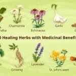 Poisonous vs Medicinal Plants: Nature’s Chemical Warfare – Defense Systems, Healing Compounds & Survival Biology